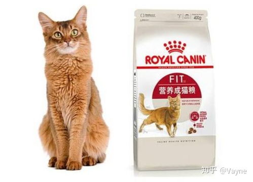 猫用品牌排行榜前十名有哪些？让你轻松选购优质猫粮