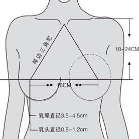 丰胸排行榜前十名品牌大揭秘，让你拥有完美胸部曲线