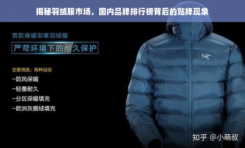 揭秘羽绒服市场，国内品牌排行榜背后的贴牌现象