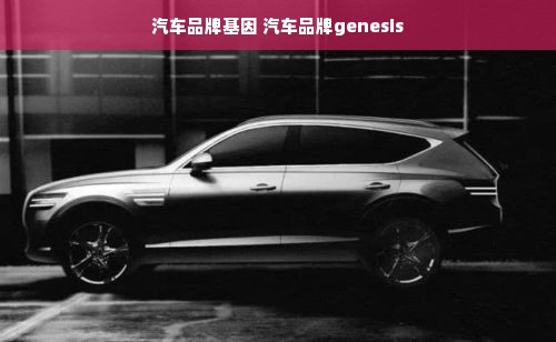 汽车品牌基因 汽车品牌genesis