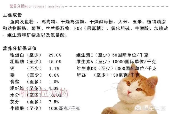 权威推荐可增肥猫粮品牌排行榜，让你的猫咪健康增重！