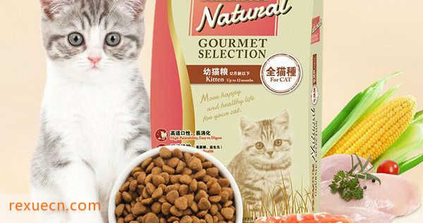 软猫粮十大品牌排行榜 - 为你的猫咪精选优质食品