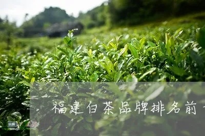 福建白茶品牌排行榜前十名，品味白茶的极致韵味