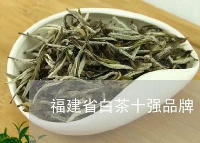 福建白茶品牌排行榜前十名，品味白茶的极致韵味