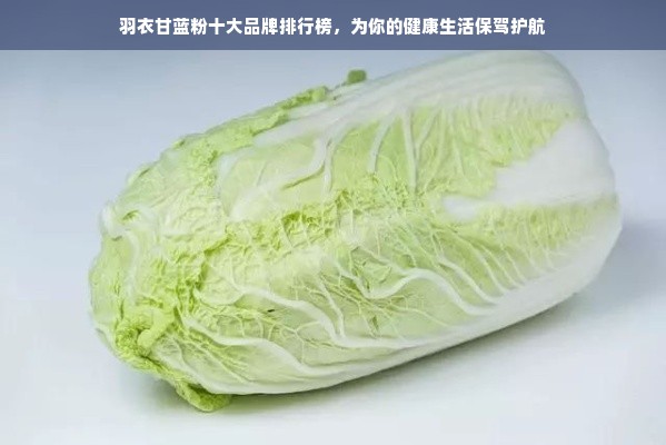 羽衣甘蓝粉十大品牌排行榜，为你的健康生活保驾护航