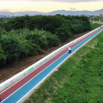 福建运动品牌排行榜前十名揭晓，领跑市场，引领潮流