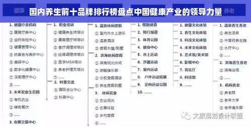 国内养生前十品牌排行榜盘点中国健康产业的领导力量