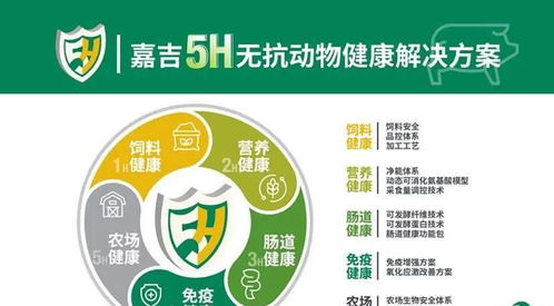 美国保健品牌盛宴，探索十大值得信赖的健康产品排行榜