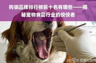 狗狼品牌排行榜前十名有哪些——揭秘宠物食品行业的佼佼者