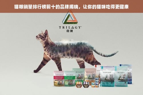 猫粮销量排行榜前十的品牌揭晓，让你的猫咪吃得更健康