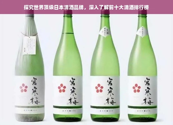 探究世界顶级日本清酒品牌，深入了解前十大清酒排行榜