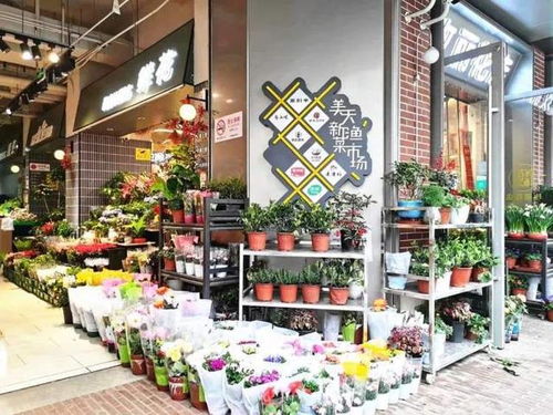 鲜花店品牌排行榜前十名有哪些？揭秘2023年最受欢迎的花店品牌