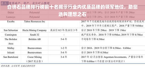 白锈石品牌排行榜前十名揭示行业内优质品牌的领军地位，助您选购理想之石