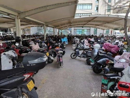 电瓶车排行榜前十名有哪些品牌？深度解析电动车市场领先者