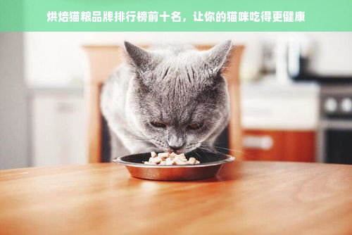 烘焙猫粮品牌排行榜前十名，让你的猫咪吃得更健康