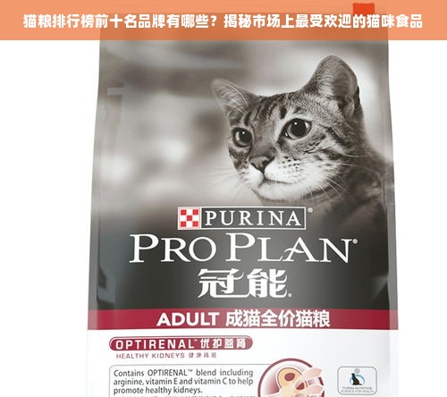 猫粮排行榜前十名品牌有哪些？揭秘市场上最受欢迎的猫咪食品