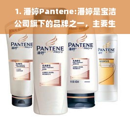 1. 潘婷Pantene:潘婷是宝洁公司旗下的品牌之一，主要生产洗发水、护发素等化妆品。潘婷的产品质量和口碑都很好，是国内最受欢迎的洗发水品牌之一。