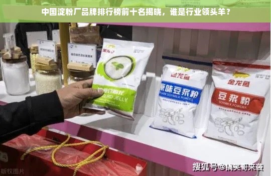 中国淀粉厂品牌排行榜前十名揭晓，谁是行业领头羊？