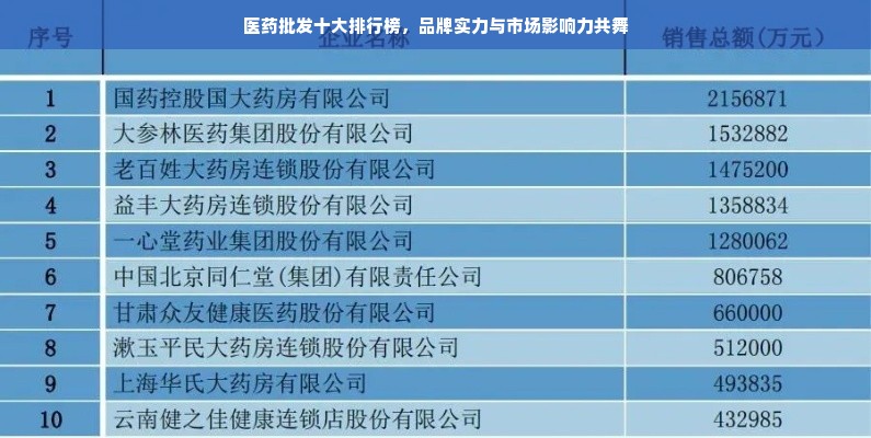 医药批发十大排行榜，品牌实力与市场影响力共舞