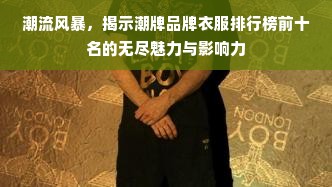 潮流风暴，揭示潮牌品牌衣服排行榜前十名的无尽魅力与影响力