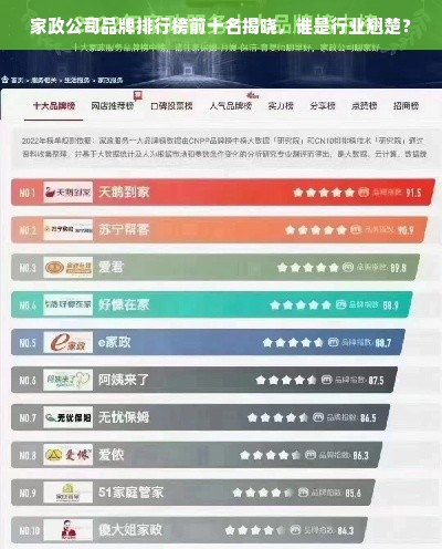 家政公司品牌排行榜前十名揭晓，谁是行业翘楚？