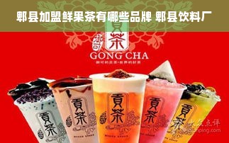 郫县加盟鲜果茶有哪些品牌 郫县饮料厂