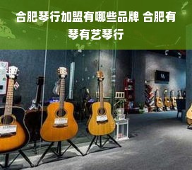 合肥琴行加盟有哪些品牌 合肥有琴有艺琴行