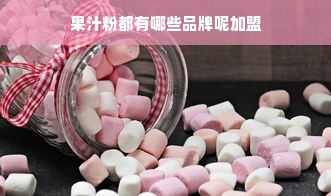 果汁粉都有哪些品牌呢加盟