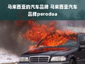 马来西亚的汽车品牌 马来西亚汽车品牌perodua