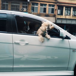 汽车品牌模仿 模仿名车的国产车