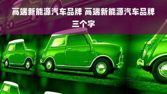 高端新能源汽车品牌 高端新能源汽车品牌三个字