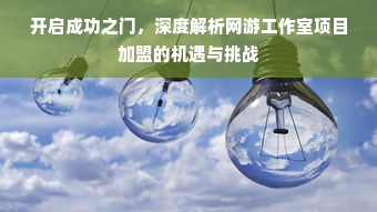 开启成功之门，深度解析网游工作室项目加盟的机遇与挑战