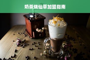 奶茶烧仙草加盟指南