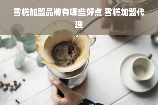 雪糕加盟品牌有哪些好点 雪糕加盟代理