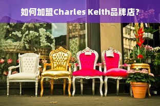 如何加盟Charles Keith品牌店？