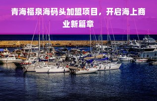 青海福泉海码头加盟项目，开启海上商业新篇章