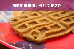 加盟小米鸡排，开启创业之路