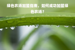 绿色农场加盟指南，如何成功加盟绿色农场？