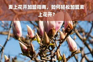 麦上花开加盟指南，如何轻松加盟麦上花开？