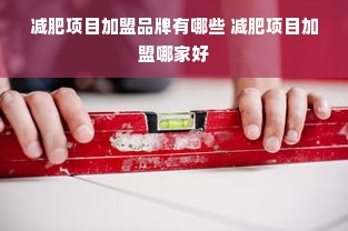 减肥项目加盟品牌有哪些 减肥项目加盟哪家好