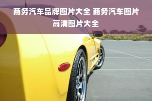 商务汽车品牌图片大全 商务汽车图片高清图片大全