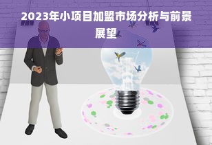 2023年小项目加盟市场分析与前景展望