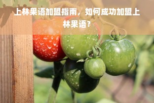 上林果语加盟指南，如何成功加盟上林果语？