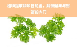 植物提取物项目加盟，解锁健康与财富的大门