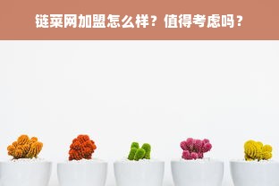 链菜网加盟怎么样？值得考虑吗？