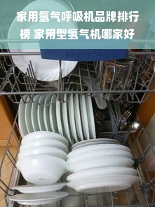 家用氢气呼吸机品牌排行榜 家用型氢气机哪家好