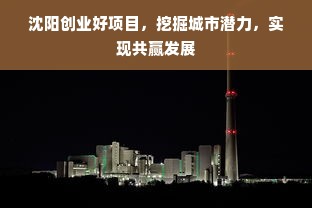 沈阳创业好项目，挖掘城市潜力，实现共赢发展