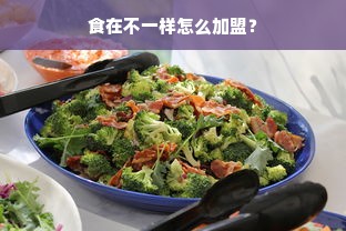 食在不一样怎么加盟？