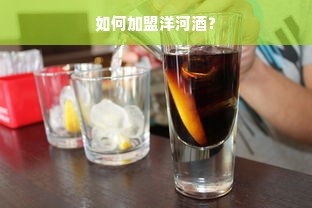 如何加盟洋河酒？