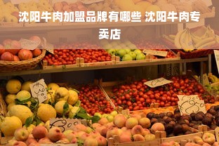 沈阳牛肉加盟品牌有哪些 沈阳牛肉专卖店